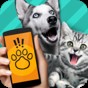 pettranslator动物翻译器下载