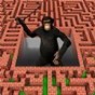 3d迷宫游戏大全