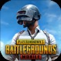 pubg国际服官网版下载