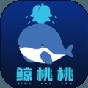 miui12.5增强版新功能介绍